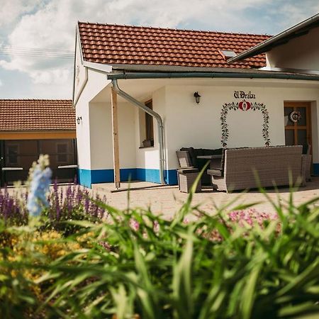 Apartman U Draba: Ubytovani Na Slovacku V Miloticich U Kyjova Milotice Dış mekan fotoğraf