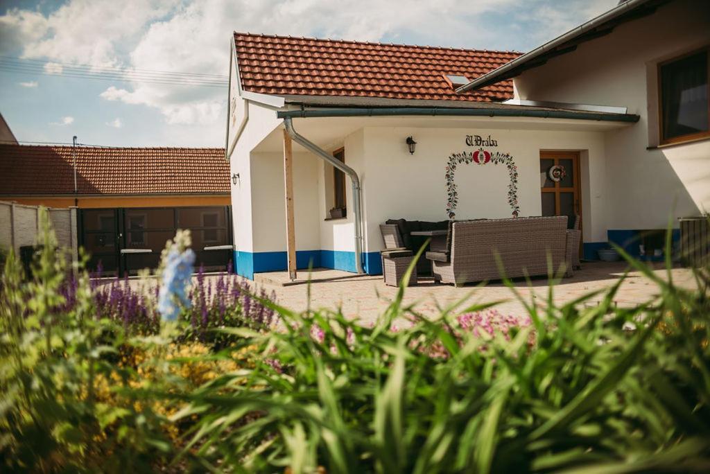 Apartman U Draba: Ubytovani Na Slovacku V Miloticich U Kyjova Milotice Dış mekan fotoğraf