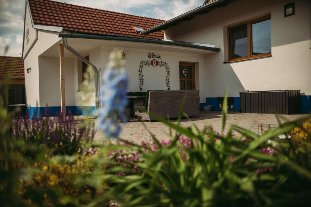 Apartman U Draba: Ubytovani Na Slovacku V Miloticich U Kyjova Milotice Dış mekan fotoğraf
